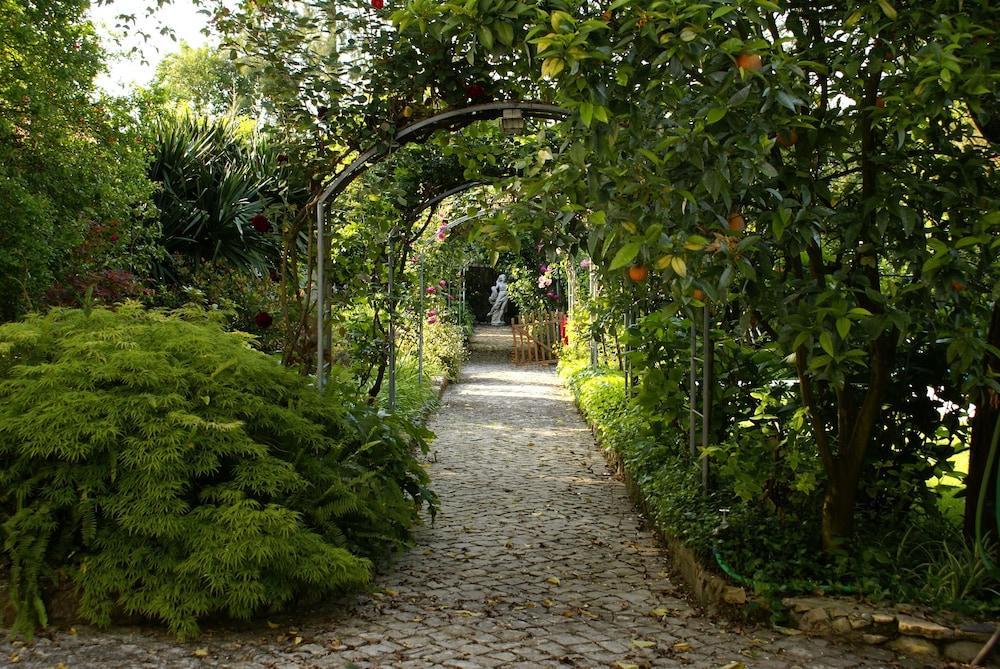 Quinta De Sao Lourenco Anadia Exterior foto